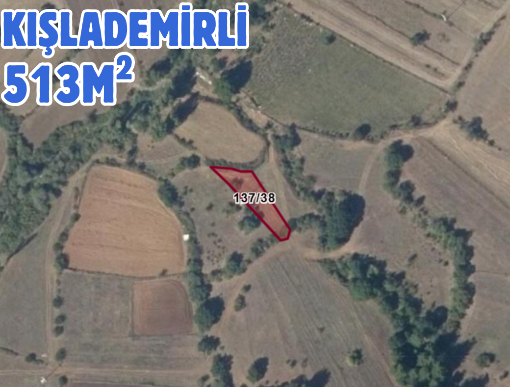 Fotoğraf